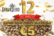 Получи подарок от GanjaSeeds прямо сейчас