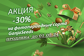 Новогодняя распродажа на GanjaSeeds продолжается!