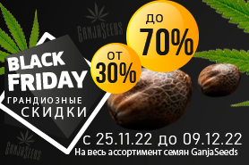 Black Friday – скидки на семена конопли до 70%!